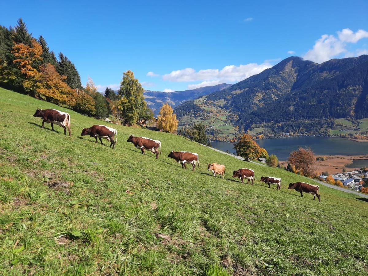 Villa Bio-Bergbauernhof Hubgut Zell am See Esterno foto